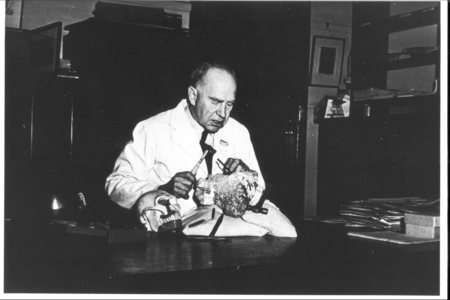 Raymond Arthur Dart, Photo courtesy of the University of Sydney Archives, regrettably original source unknown, Copyright University of Sydney