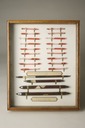 Blood Samples: Anderson Stuart's haemoglobin standards,1880-84