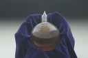 Pasteur's Bouillon Flask