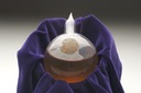 Pasteur's Bouillon Flask