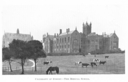 Medical School With Cows FROM Year Book 1922