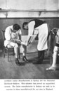 Early Orthopedics, Royal Prince Alfred Hospital
