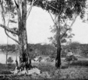 Sydney: Bushland at Harbour's edge.