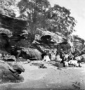 Sydney: possibly Clontarf.