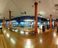 Nicholson Museum view 1