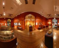 Nicholson Museum view 3