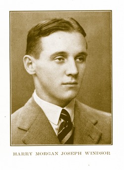 Harry Windsor