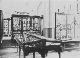 Wilson Museum circa 1900
